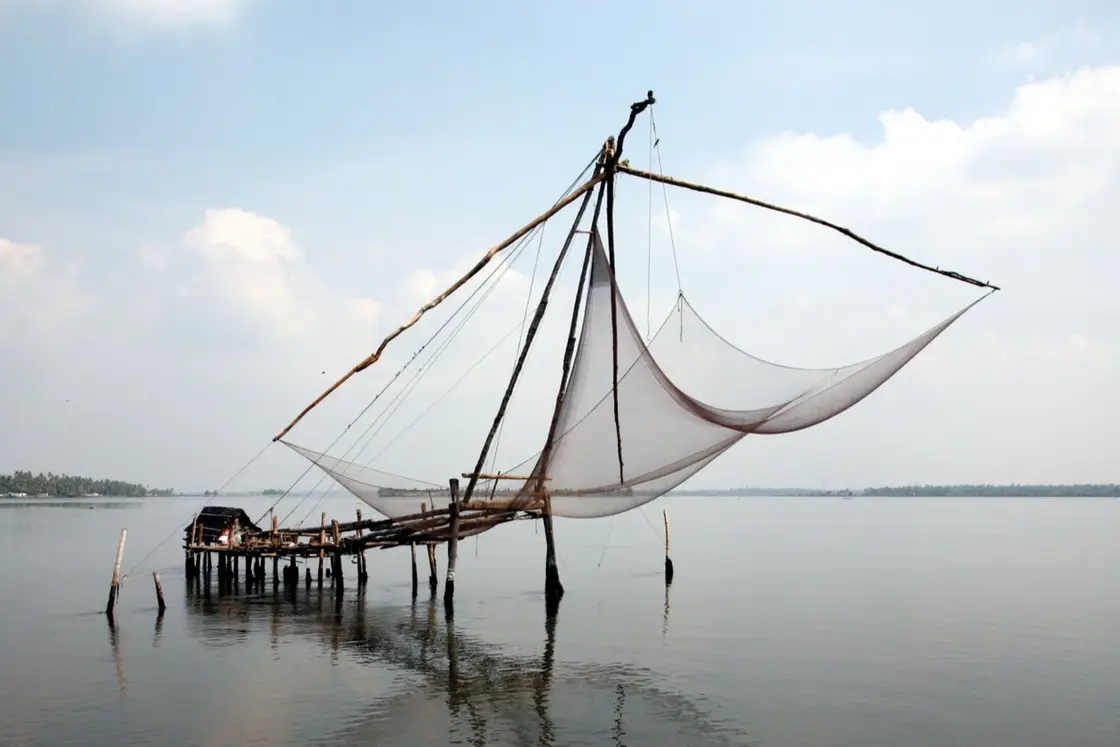Chinese Fishing Nets walk — things to do in Fort Kochi