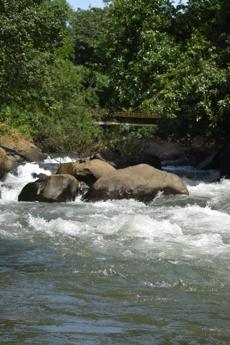 Adyanpara Waterfalls, Nilambur