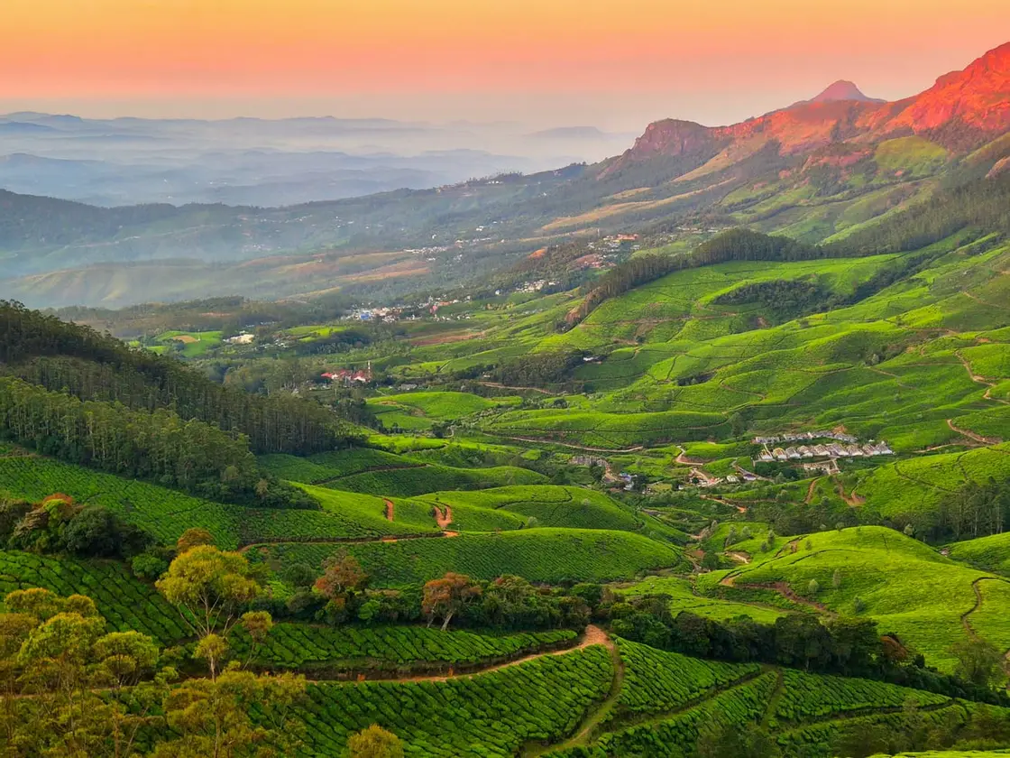 Kolukkumalai, Munnar
