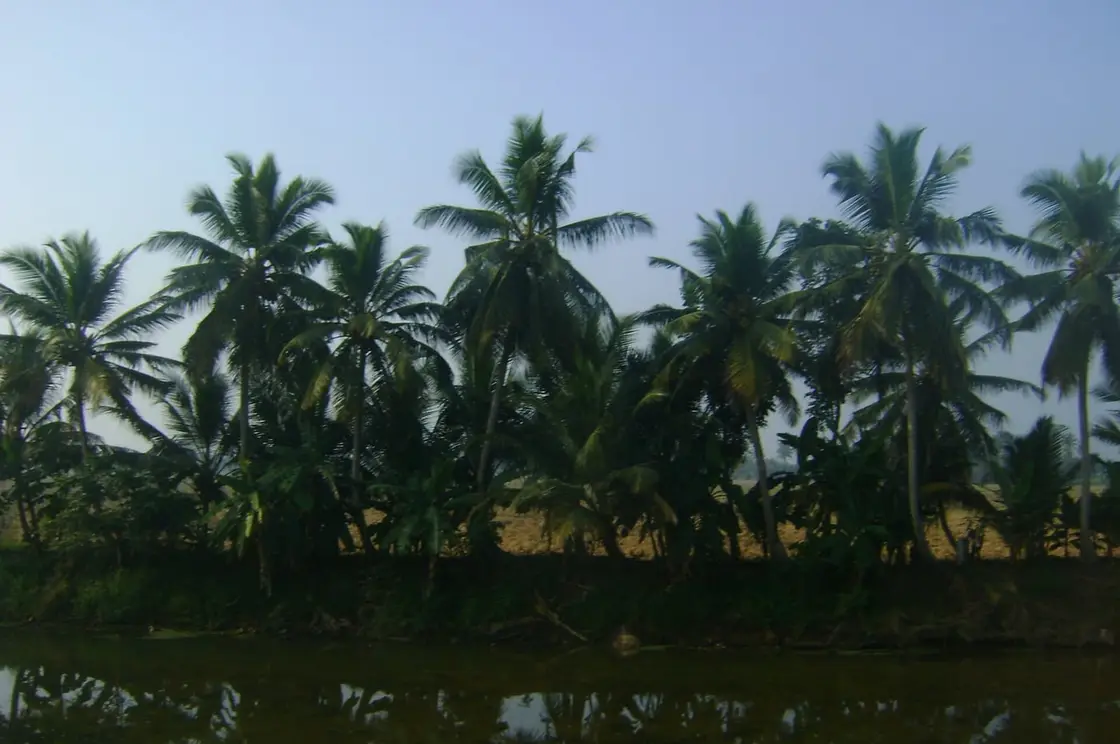 Kuttanad canals, Kuttanad