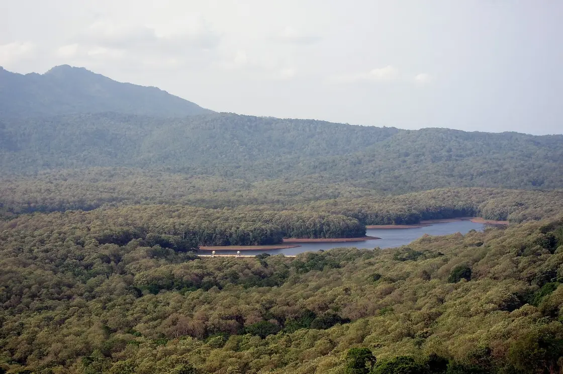 Reservoir safari, Parambikulam