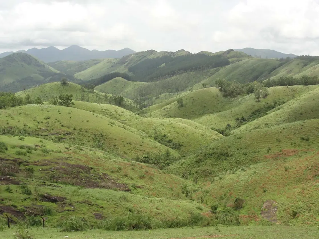 Vagamon meadows, Vagamon