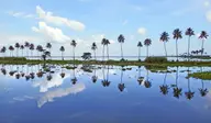 Kumarakom, Kottayam