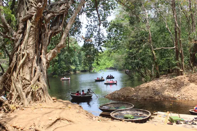 Konni-Adavi official forest contact, Pathanamthitta