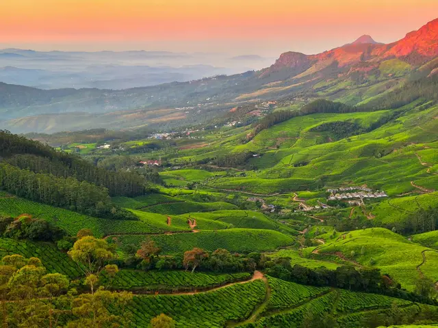 Kolukkumalai, Munnar