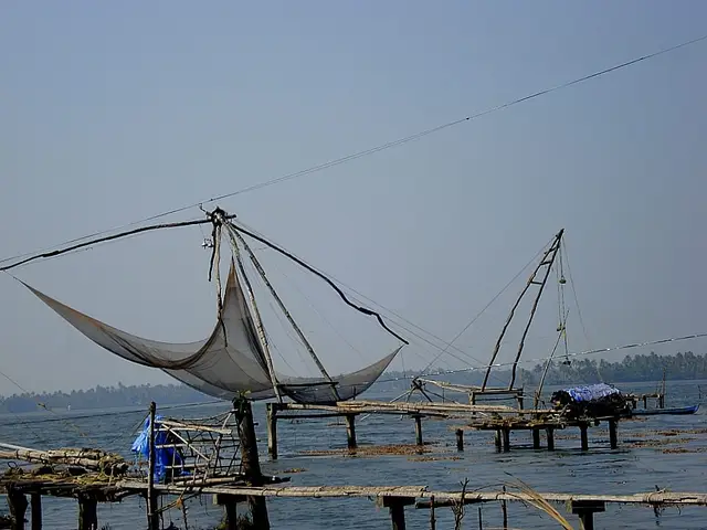 Chinese nets, Kumbalangi