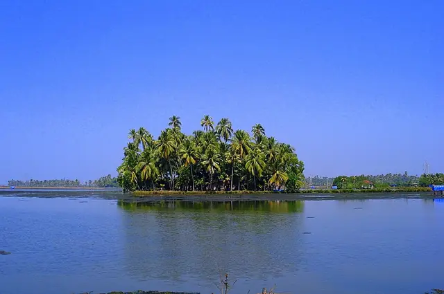 Village walks, Kumbalangi