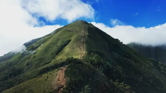 Rhodo Valley, Munnar