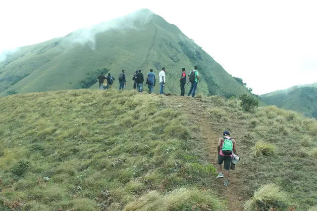 Meesapulimala trek, Munnar