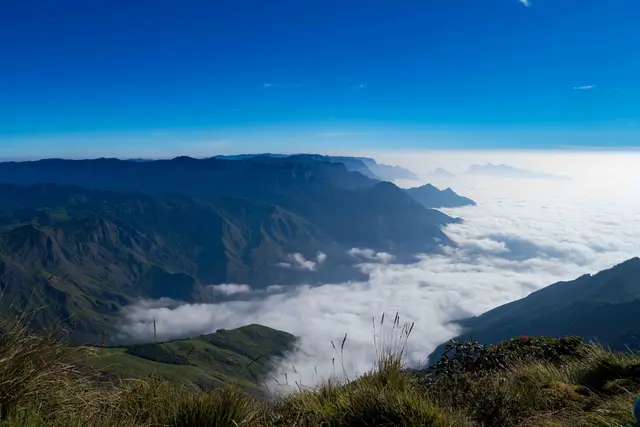 Meesapulimala Base Camp, Munnar