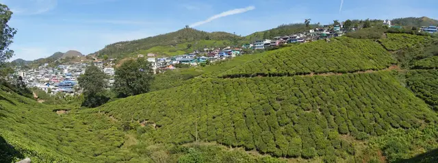 Munnar, Idukki