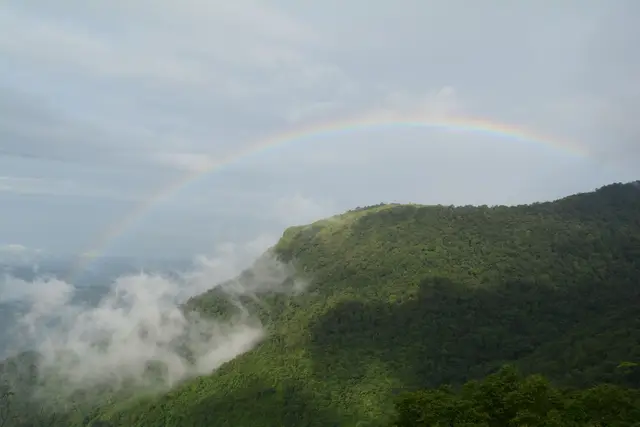 Paithalmala trek, Kannur
