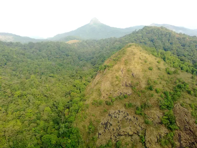 Silent Valley National Park canonical place guide, Palakkad