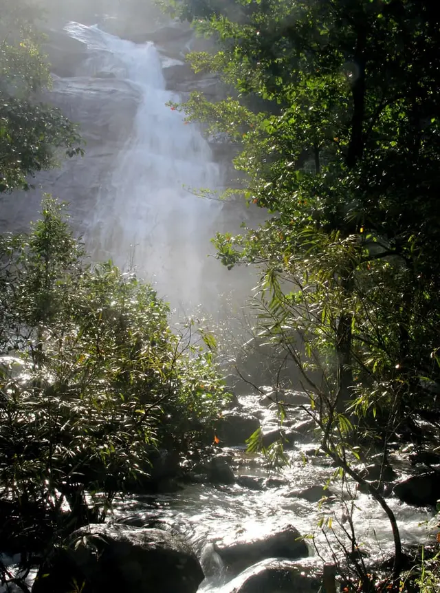 Thusharagiri Waterfalls, Thusharagiri