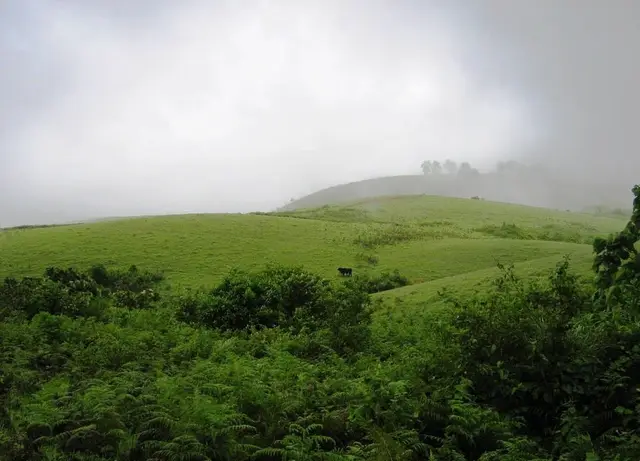 Vagamon, Vagamon