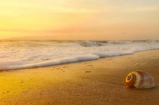 Vypin beaches, Cherai and Vypin