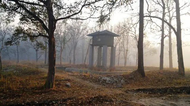 Wayanad Wildlife Sanctuary, Wayanad