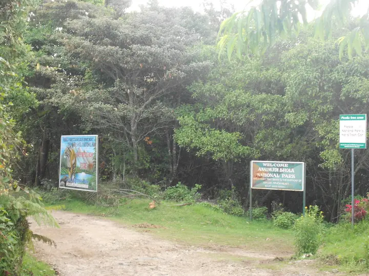 Anamudi Shola, Idukki