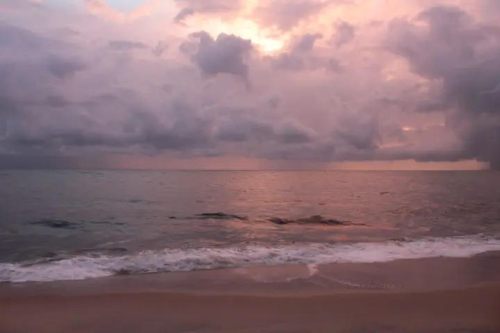 Mararikulam, Alappuzha