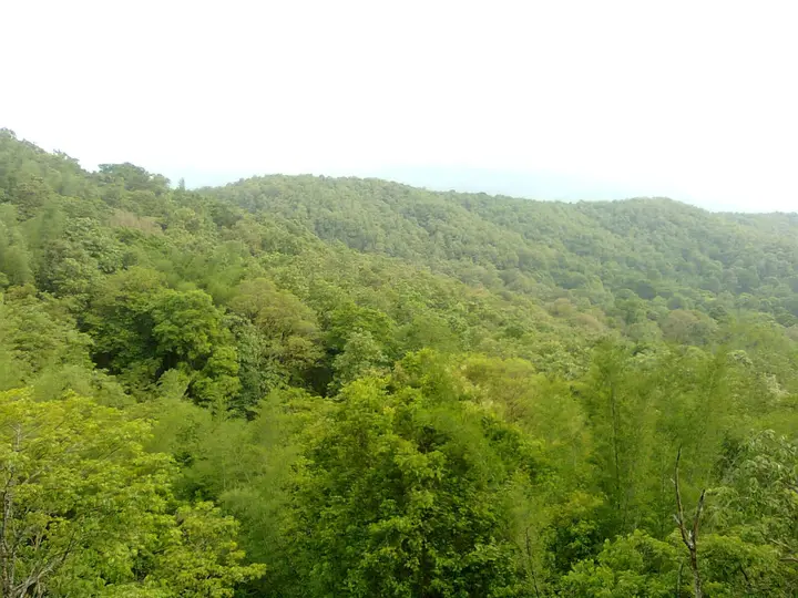 Parambikulam, Palakkad