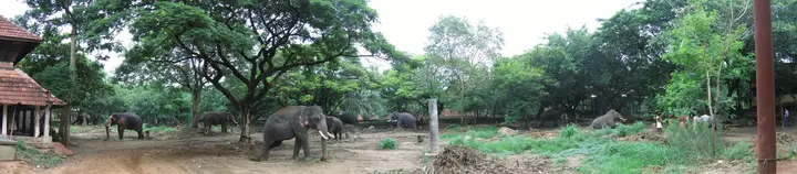 Punnathur Kotta, Thrissur