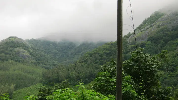 Shendurney / Deep Woods guided trekking, Kollam