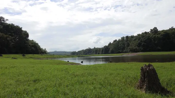 Thattekkad Bird Sanctuary, Ernakulam