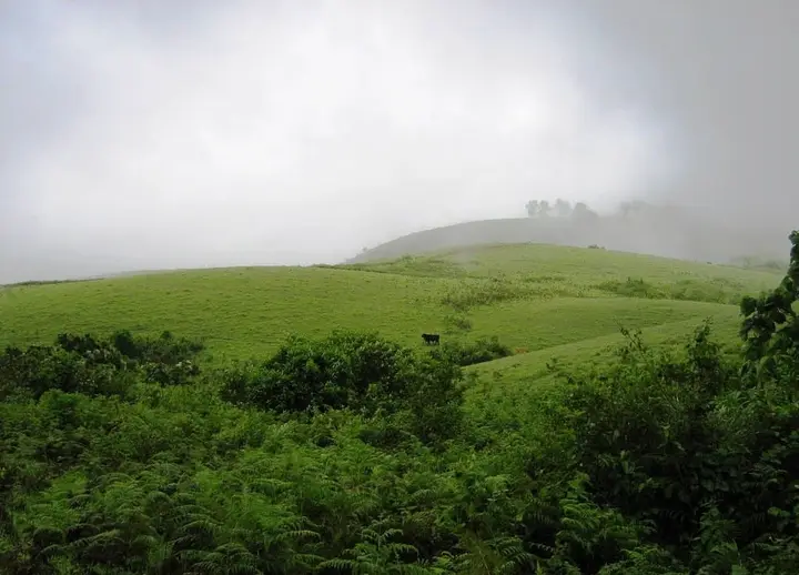 Vagamon, Idukki