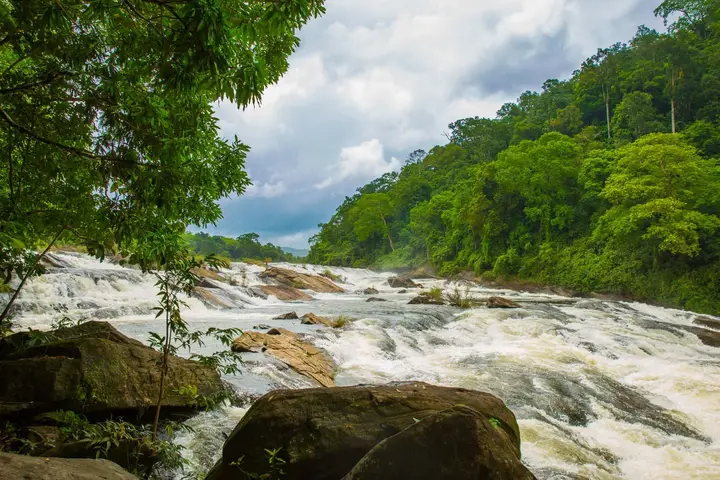 Vazhachal Falls, Ernakulam