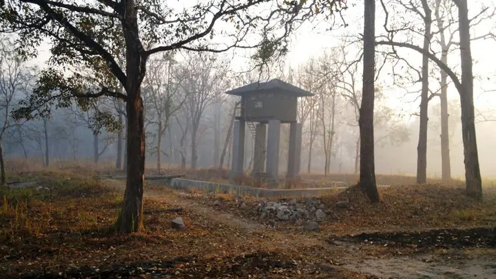 Wayanad Wildlife Sanctuary, Wayanad