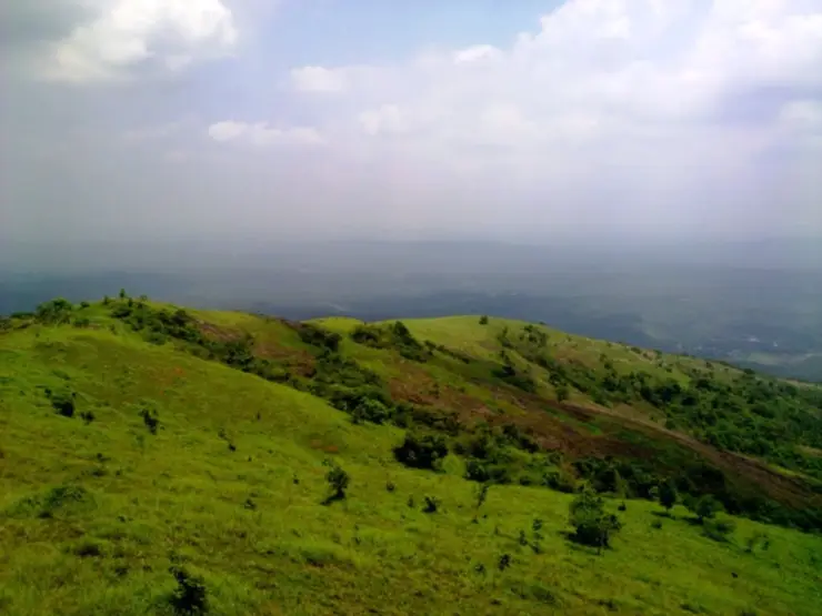 Grassland meadows of Kodikuthimala, Malappuram
