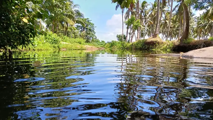 Kollengode, Palakkad