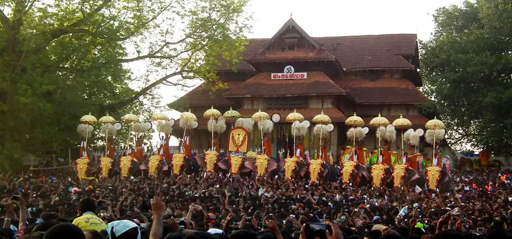 Caparisoned elephants with parasols at Thrissur Pooram