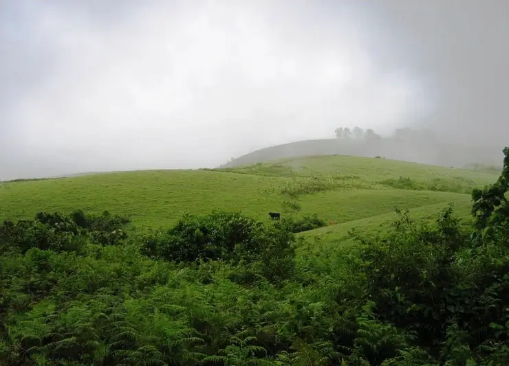 Vagamon meadows, Kerala