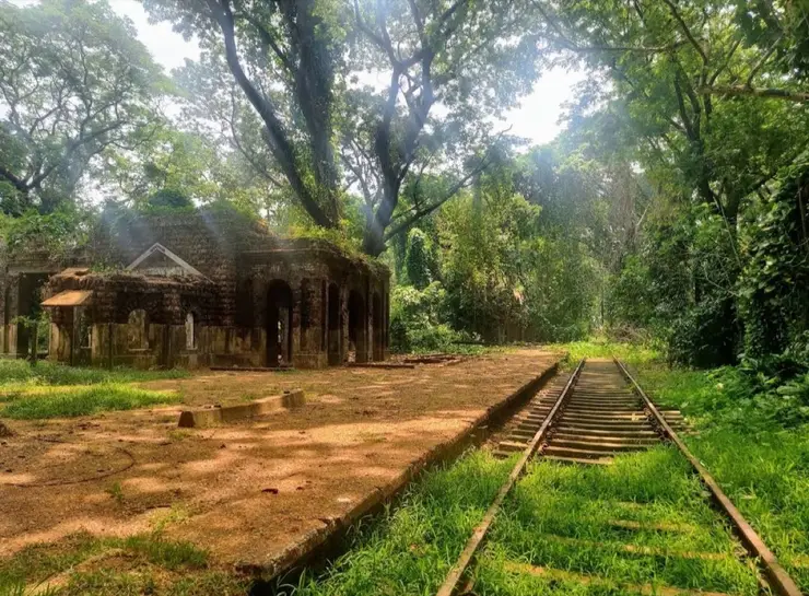 Getting To & Around Kerala