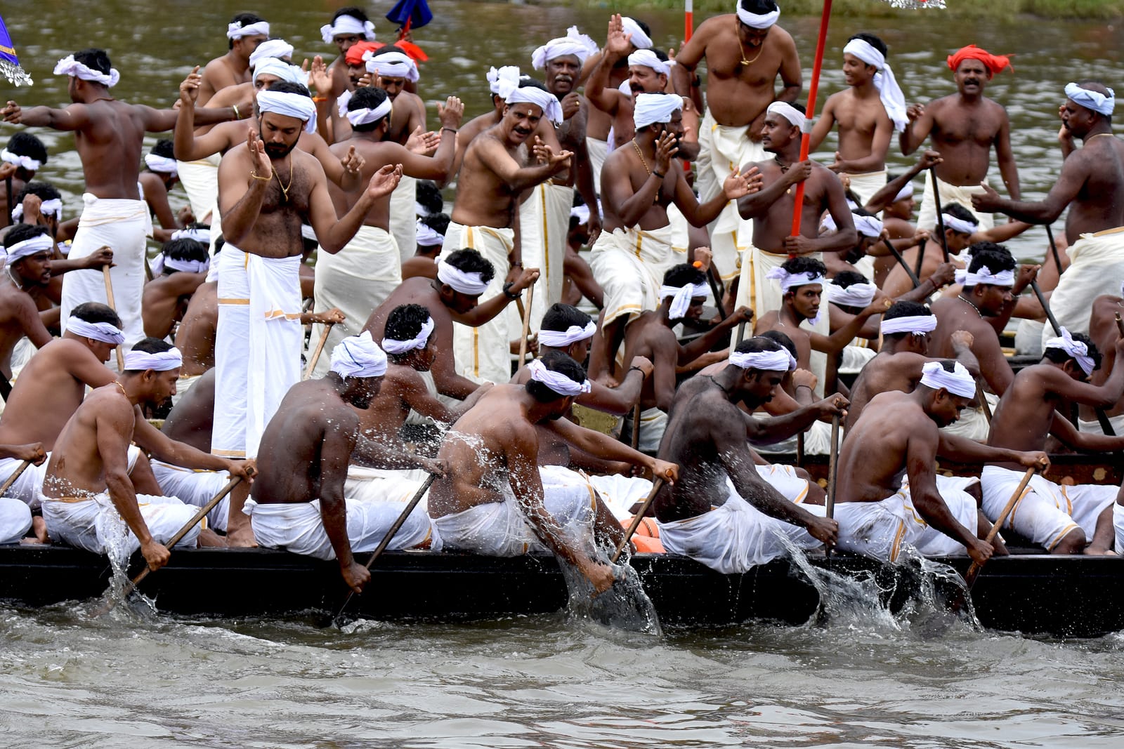 Snake boats at the Aranmula Uthrattathi Vallamkali, Pathanamthitta