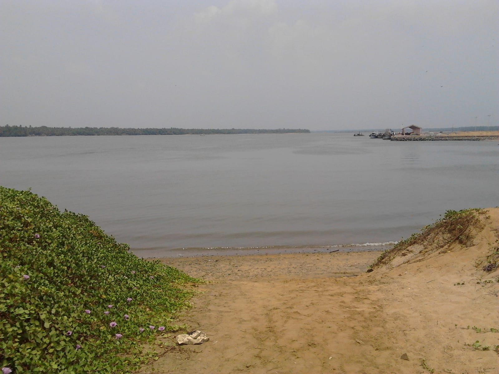 Bharathapuzha estuary — Backwater in Ponnani