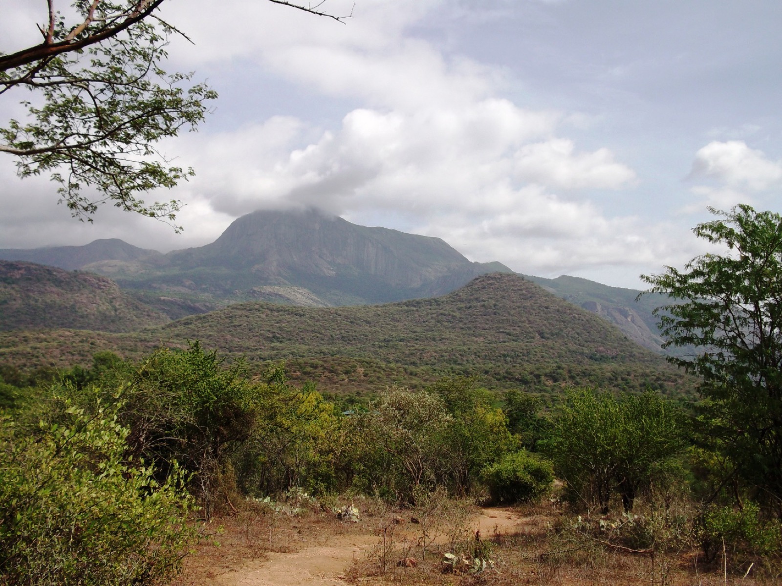 Chinnar Wildlife Sanctuary — Wildlife in Munnar