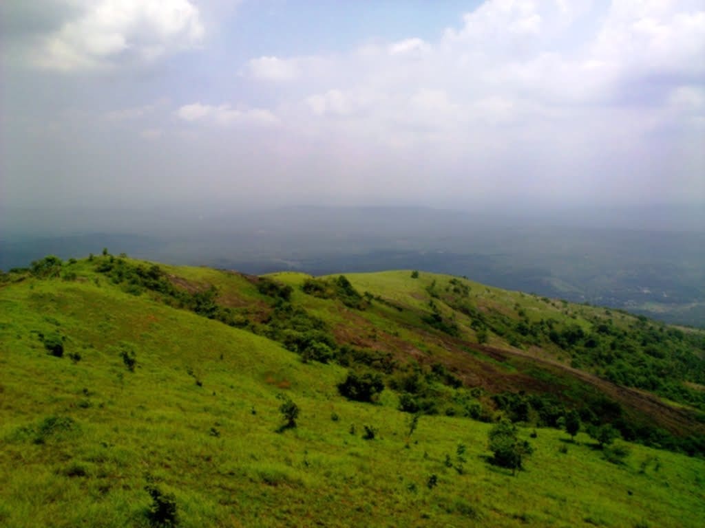 Grassland meadows of Kodikuthimala, Malappuram