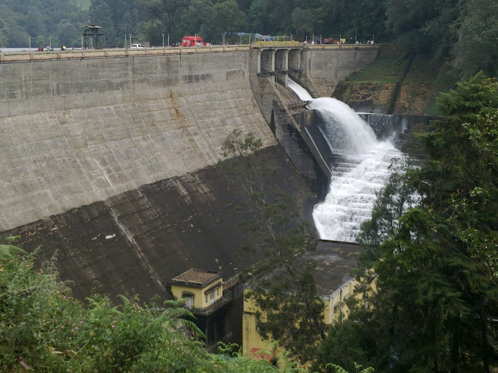 Mattupetty Dam — Dam in Munnar