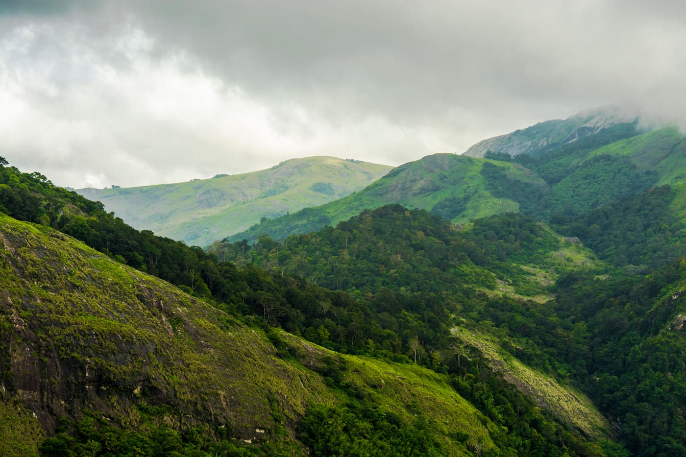 Nelliyampathy — Hill Station in Nelliyampathy