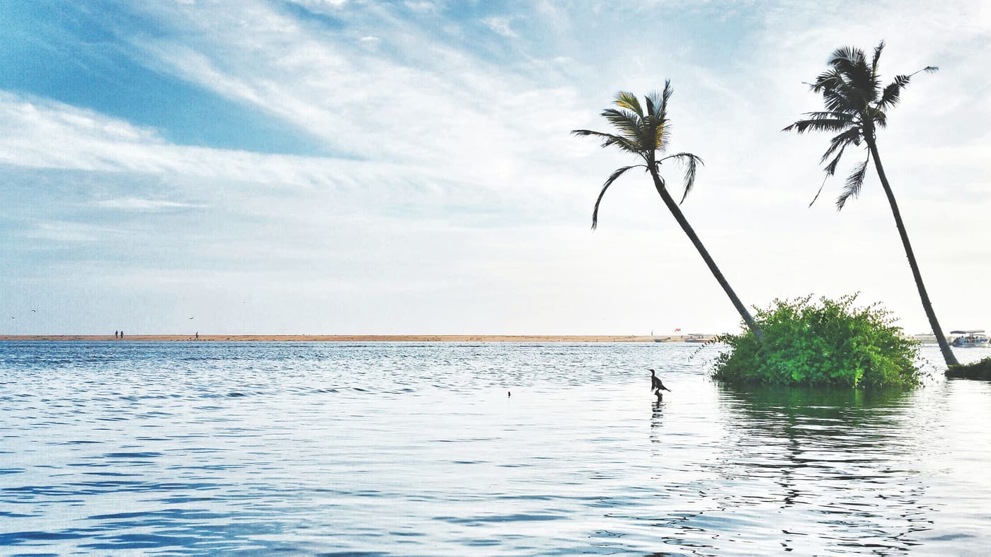 Poovar — Backwater in Poovar