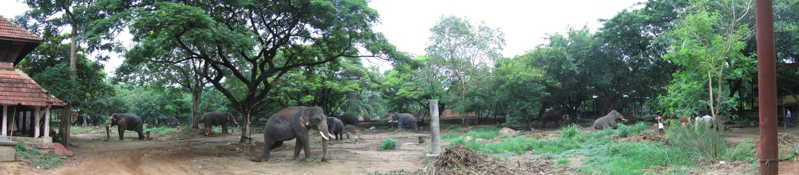 Punnathur Kotta — Heritage in Guruvayur