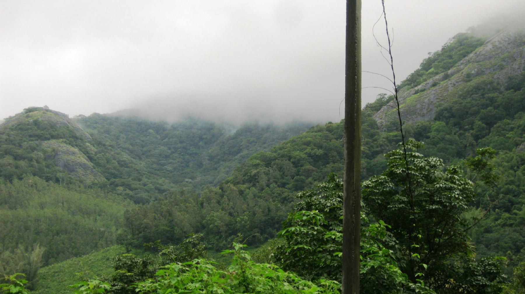 Shendurney Trekking and Camping Kerala Tourism — Trek and camp in Thenmala