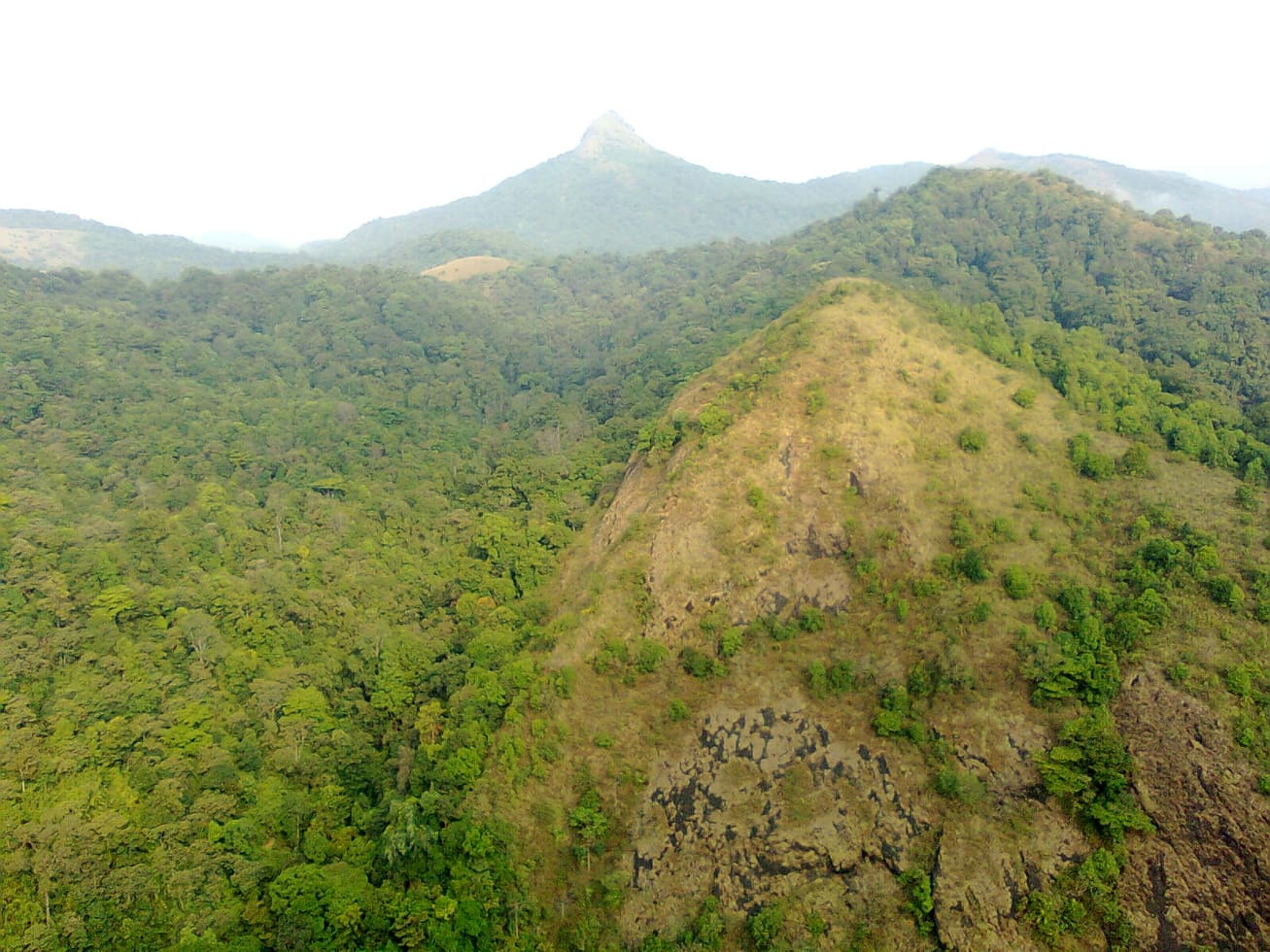 Silent Valley National Park — Wildlife in Silent Valley and Mukkali