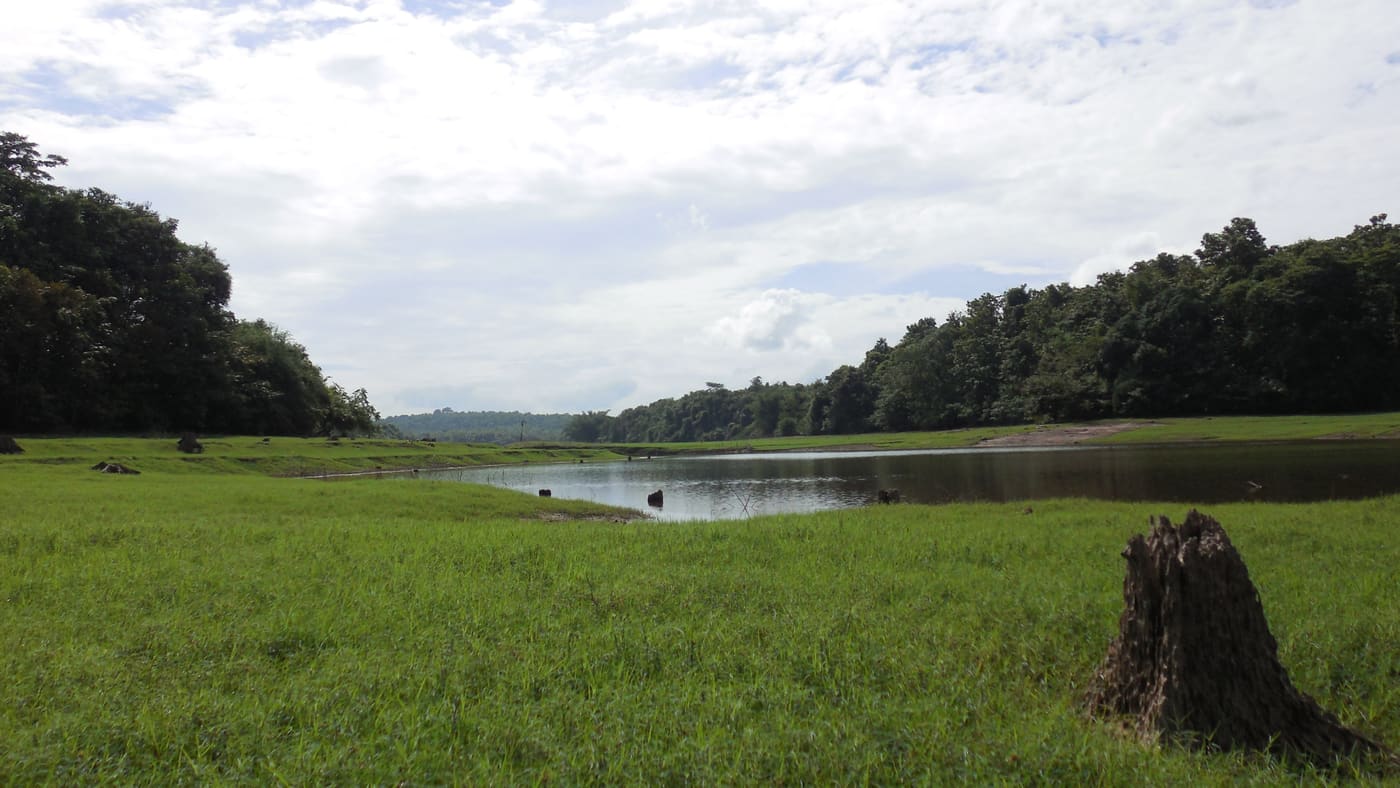 Thattekkad Bird Sanctuary — Attraction in Thattekkad