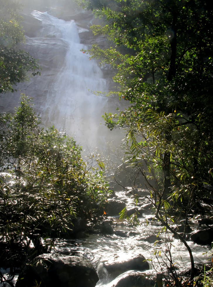 Tusharagiri Waterfalls — Waterfall in Thusharagiri