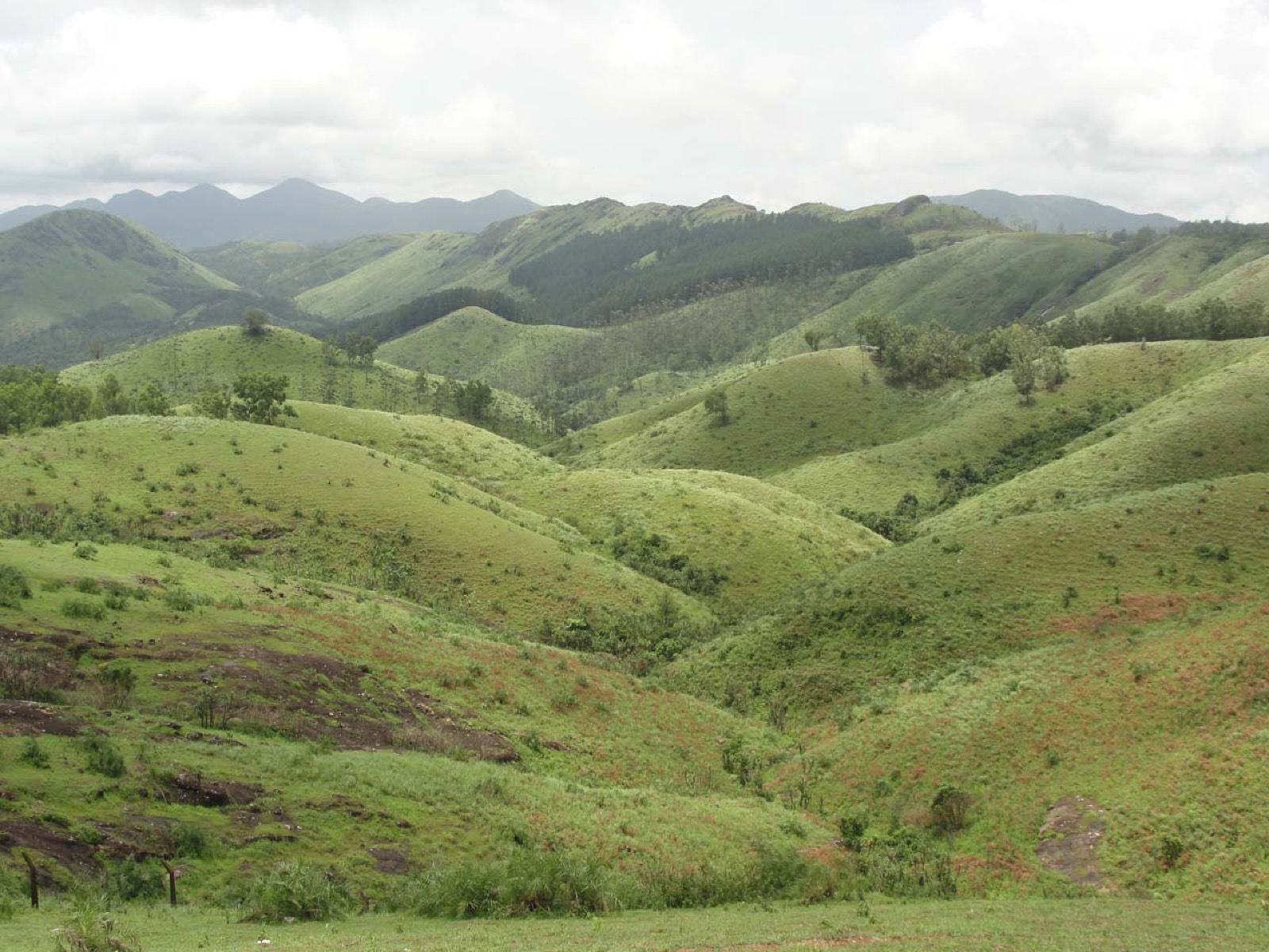 Vagamon DTPC Official Destination — Official hill station information in Vagamon