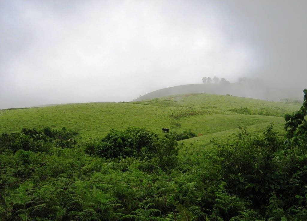 Vagamon meadows, Kerala